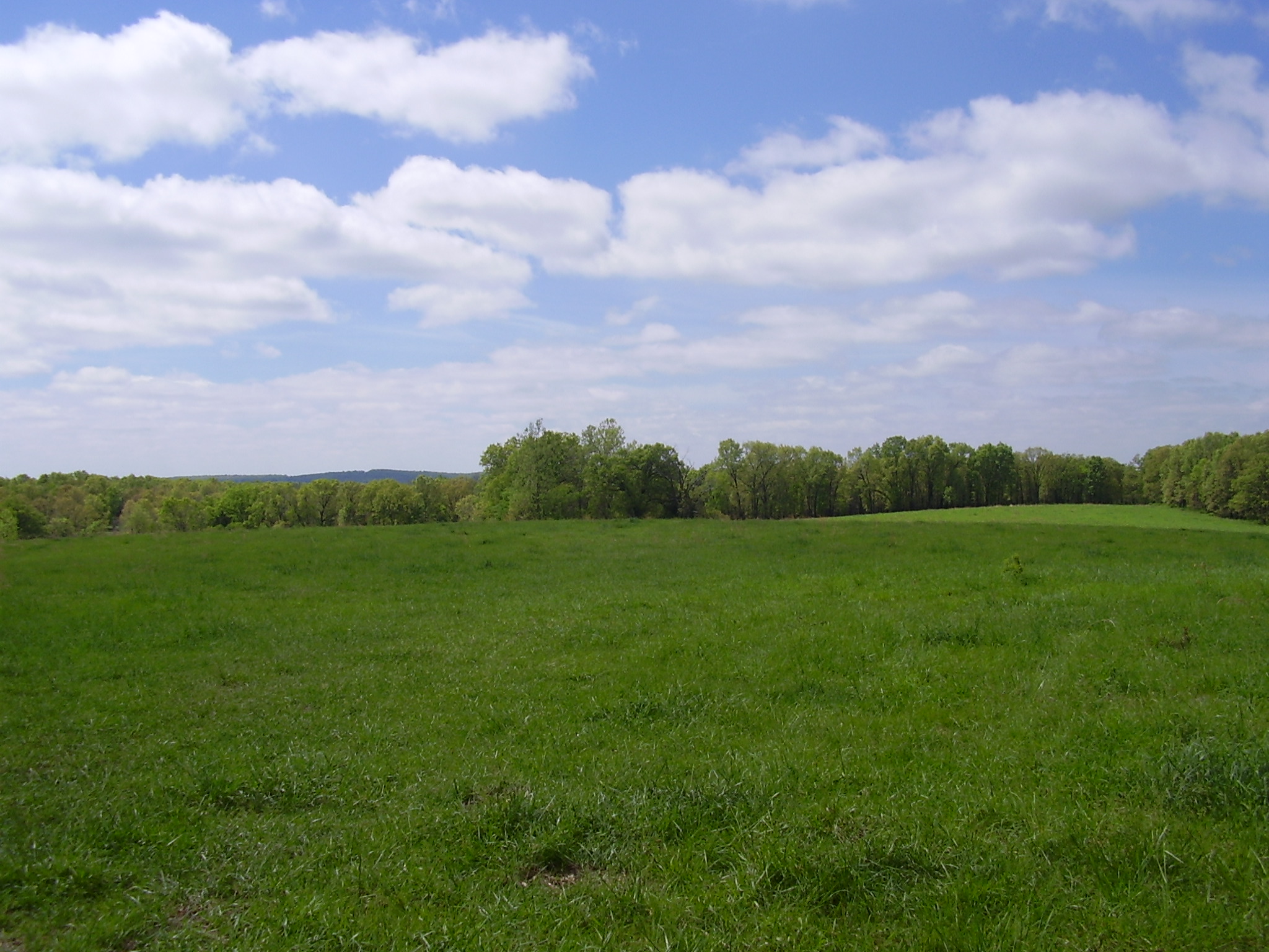 State Hwy 73, Tunas, MO 65764