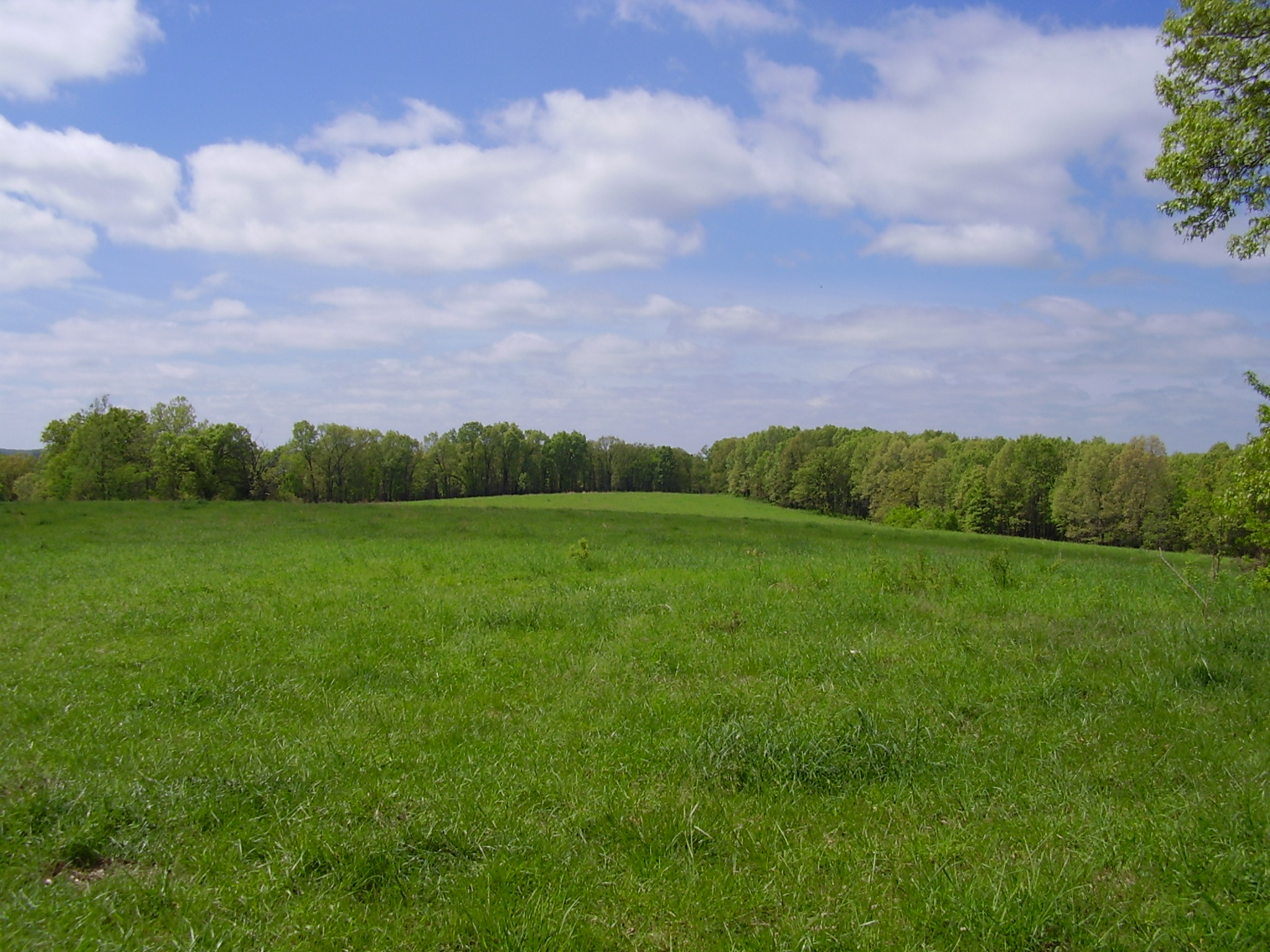 State Hwy 73, Tunas, MO 65764