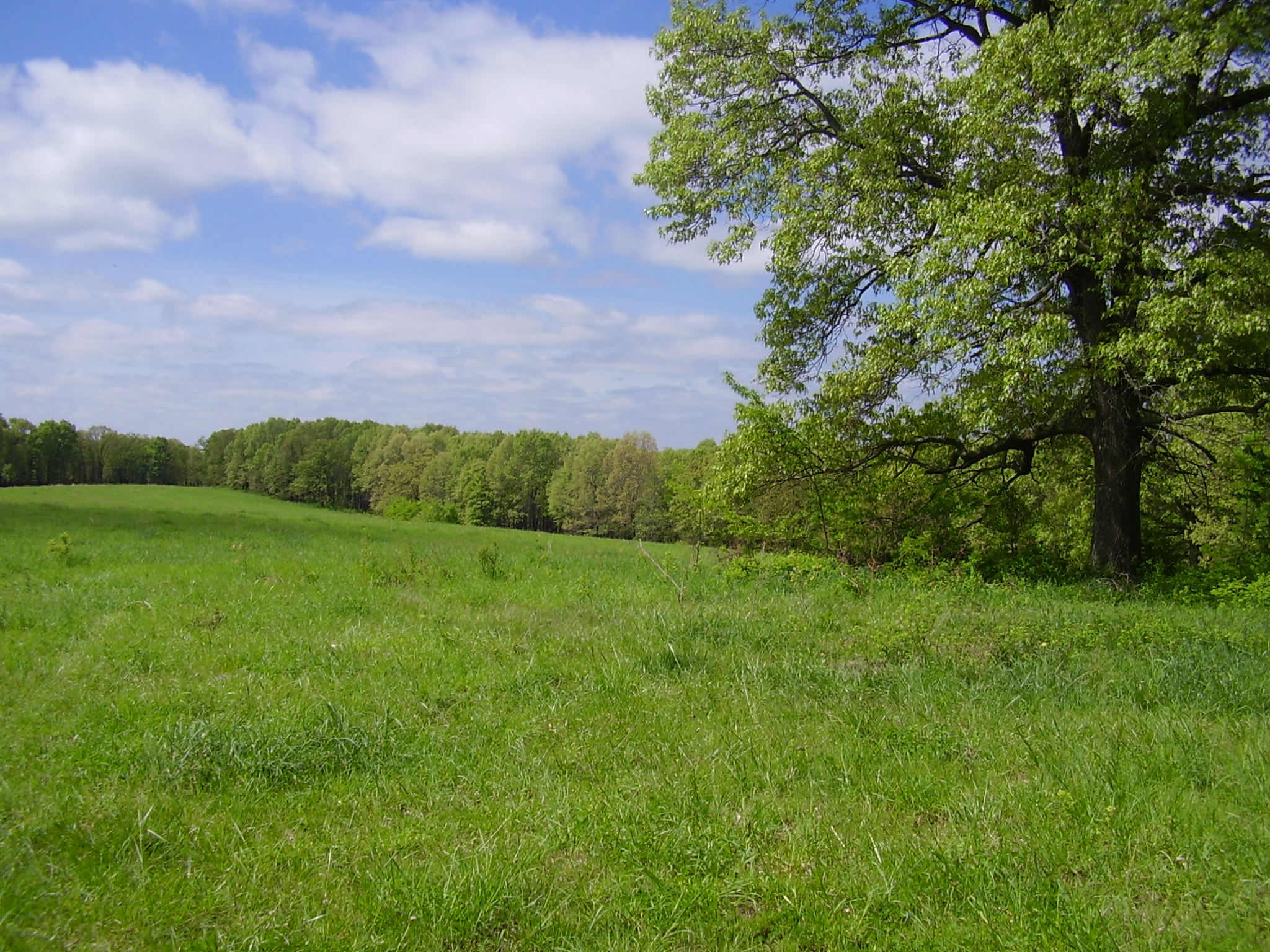 State Hwy 73, Tunas, MO 65764