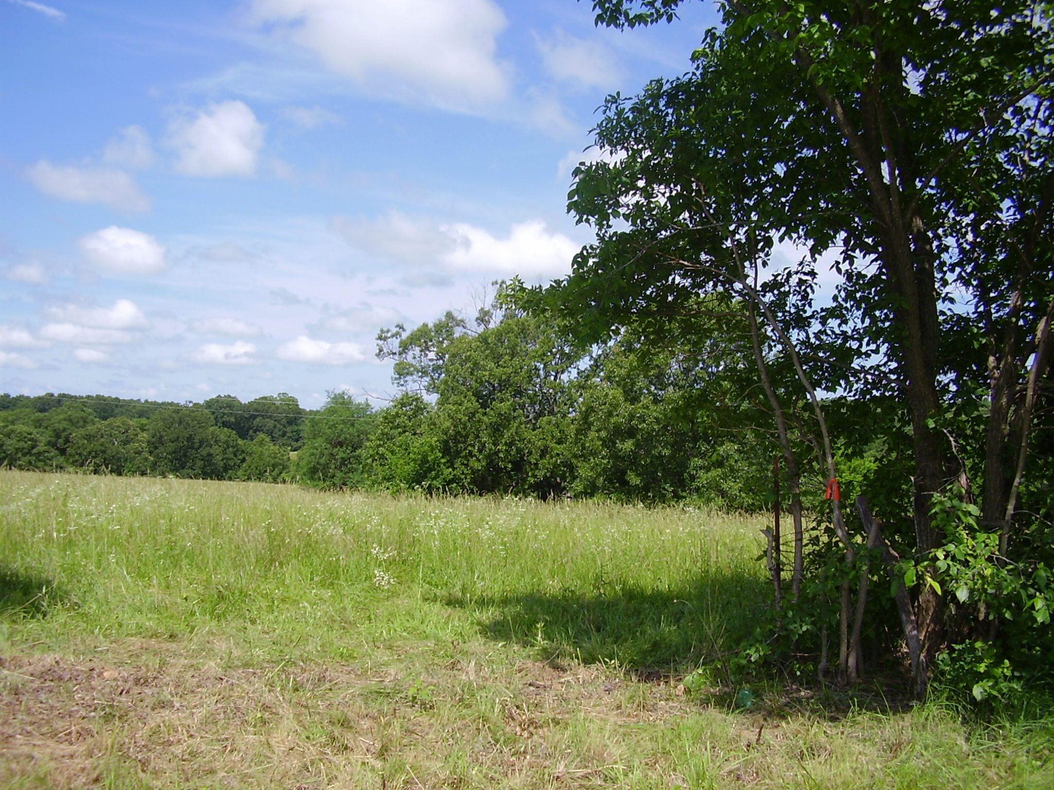State Hwy 73, Tunas, MO 65764