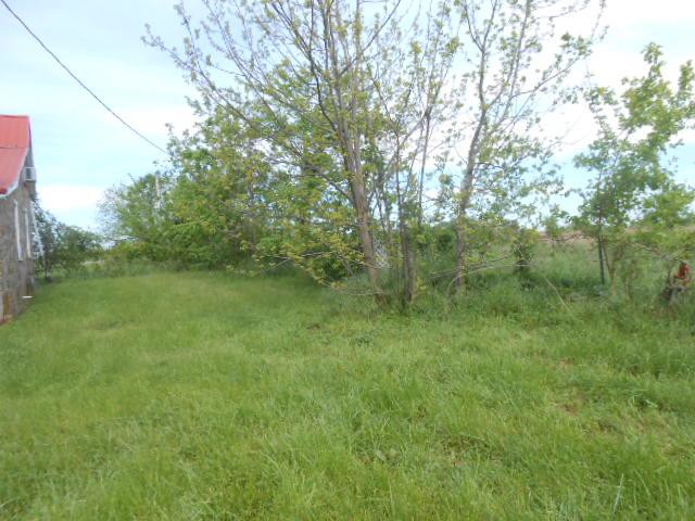 5582 Highway 123Walnut Grove, MO, 65770Polk County
