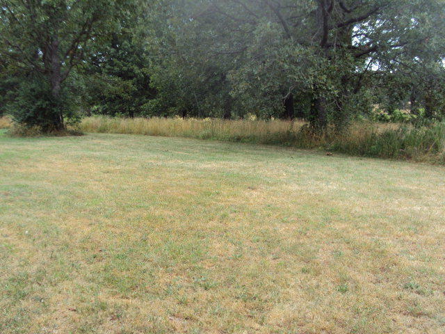 4985 State Rte Cc, West Plains, MO 65775
