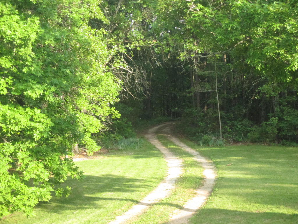 2609 County Road 4280, West Plains, MO 65775