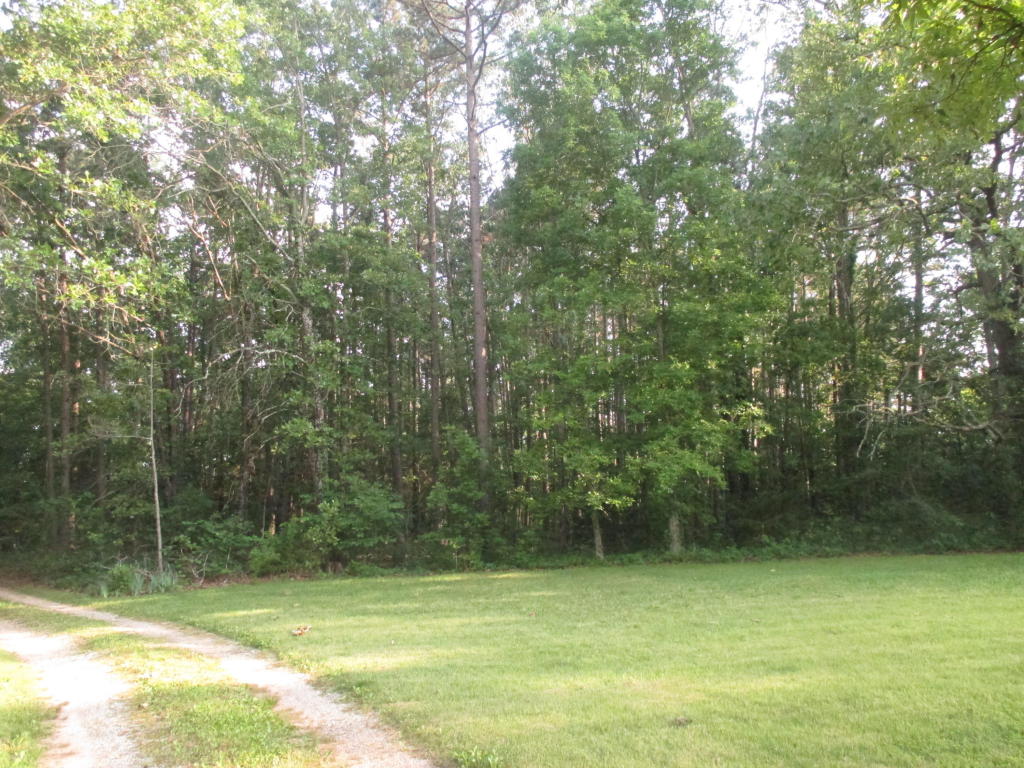 2609 County Road 4280, West Plains, MO 65775