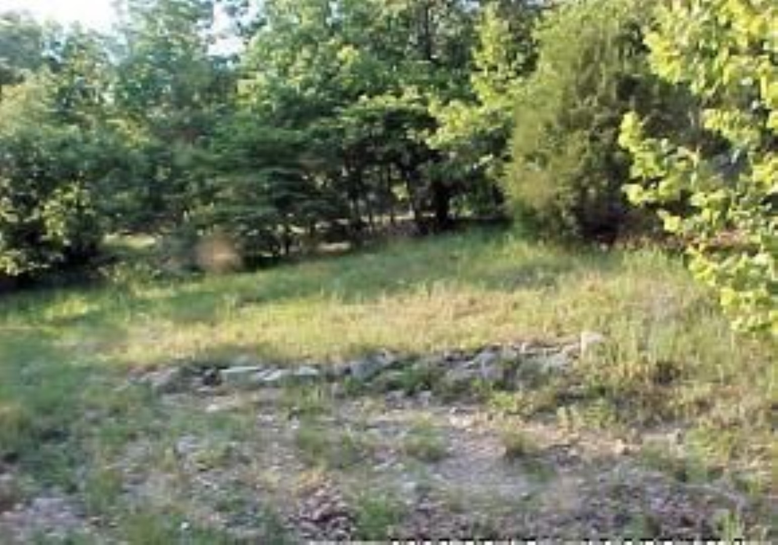 1942 Alcorn Hollow, Roach, MO 65787