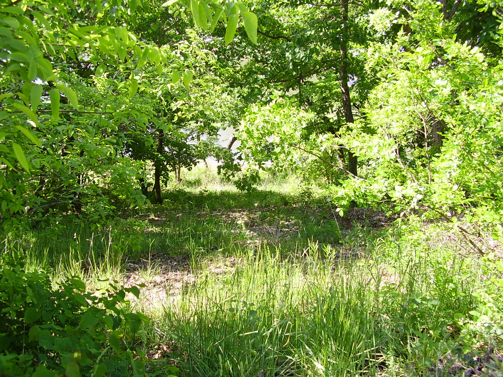 1942 Alcorn Hollow, Roach, MO 65787