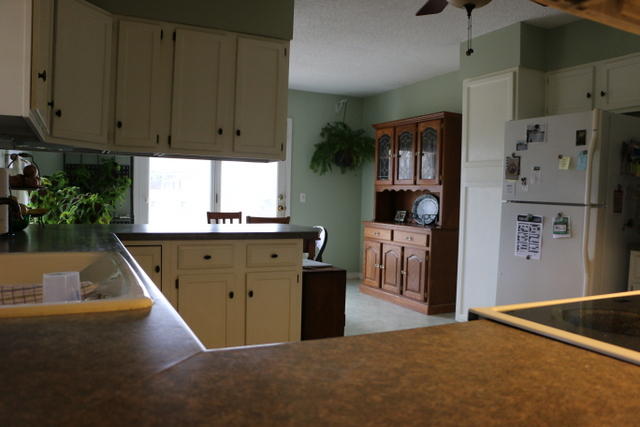 1014 North Ferguson Street, Willow Springs, MO 65793