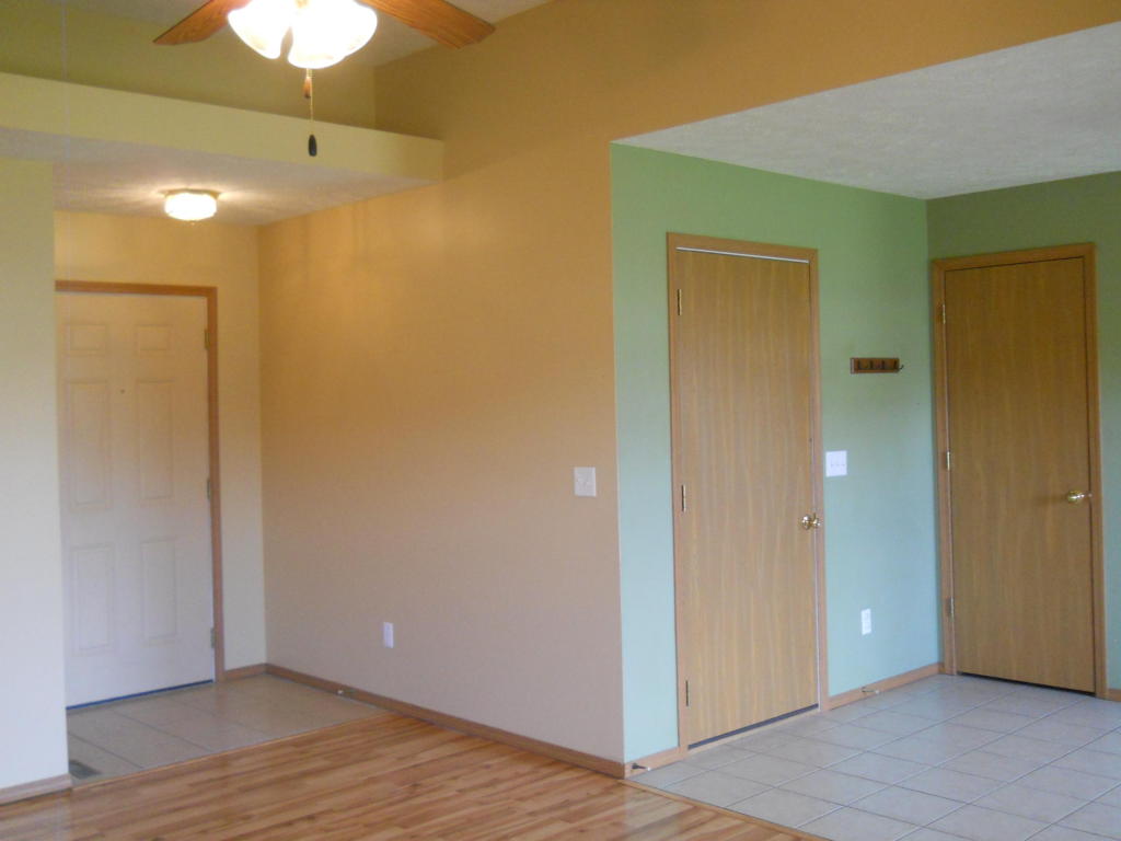 1206 North Nolting Avenue, Springfield, MO 65803