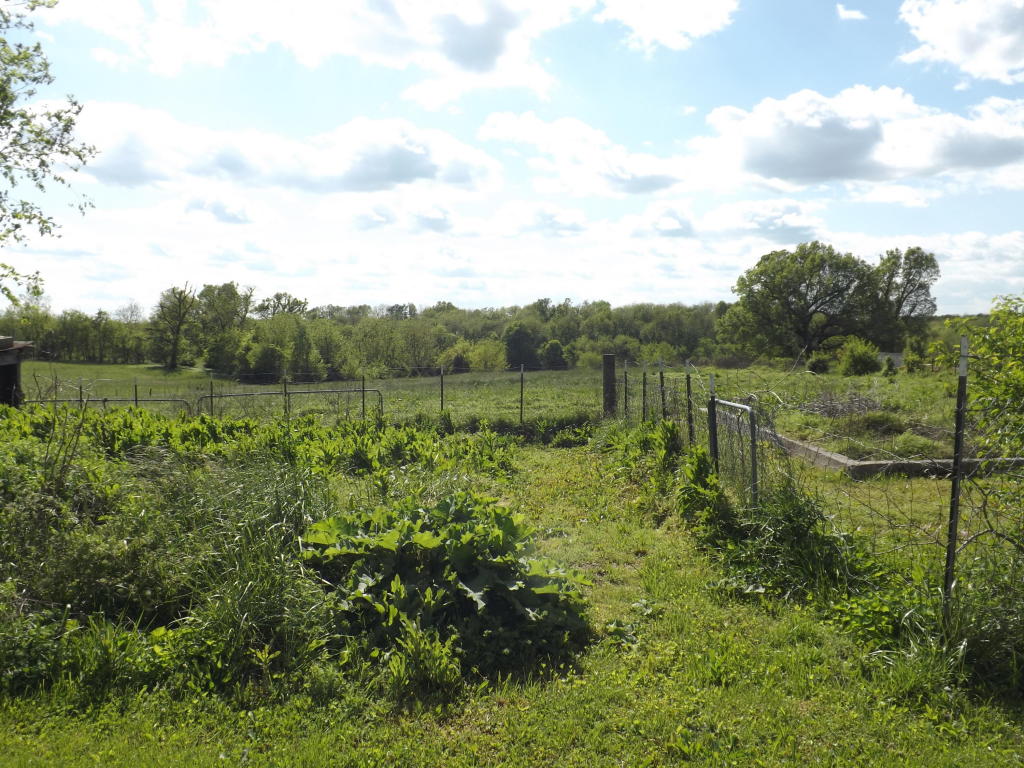 3669 N Farm Rd 103, Springfield, MO 65803