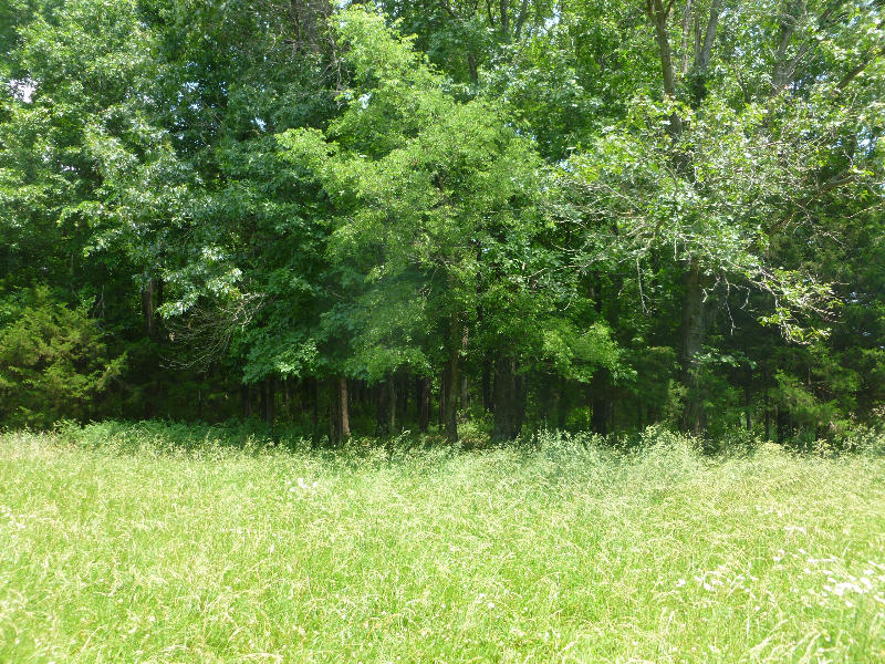 3391 West Rolling Brook Lane, Springfield, MO 65803