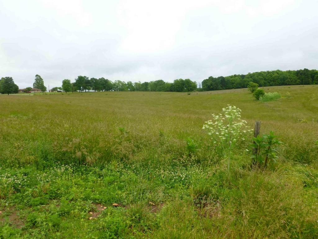 3345 West Rolling Brook Lane, Springfield, MO 65803