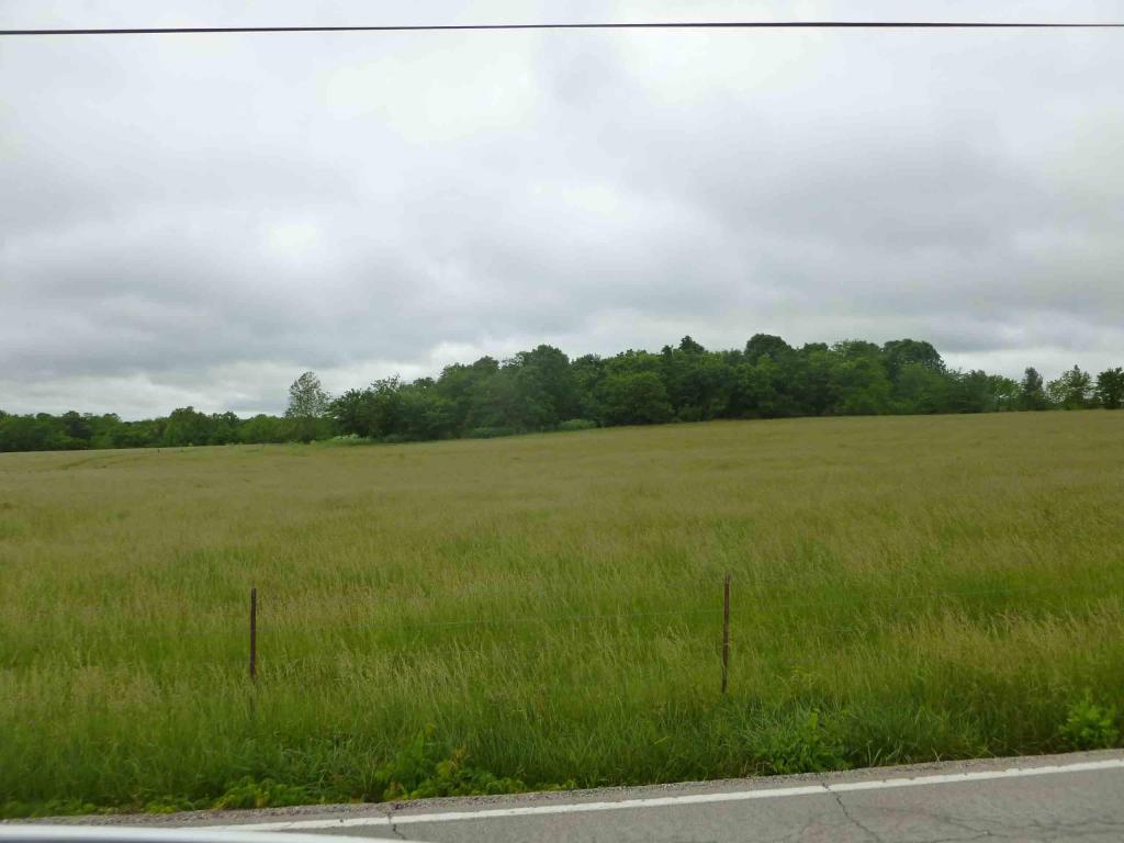 3345 West Rolling Brook Lane, Springfield, MO 65803