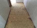 3951 S MENTOR AVE LO ,MO, Springfield, 65804