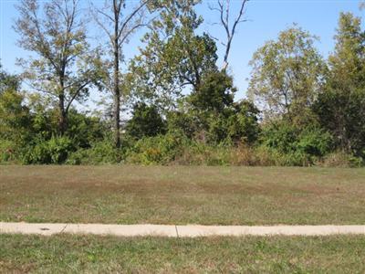 5681 South Dunrobin Drive, Springfield, MO 65809