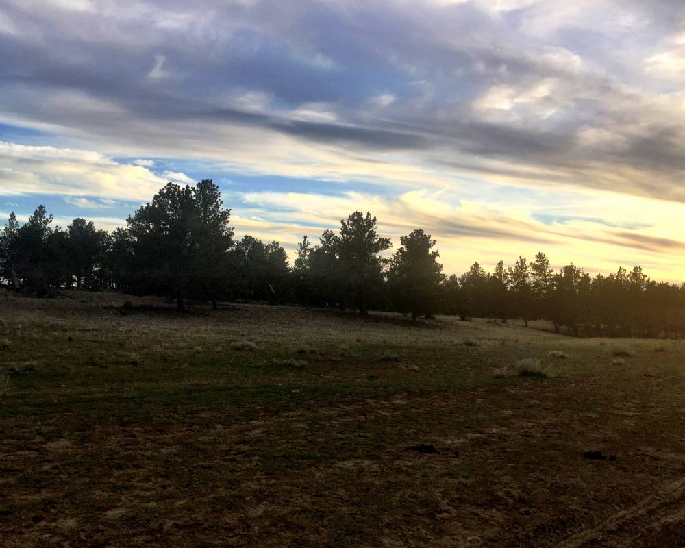 TBD Pineneedle Dr, Shawmut, Montana 59078