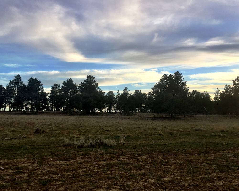 TBD Pineneedle Dr, Shawmut, Montana 59078
