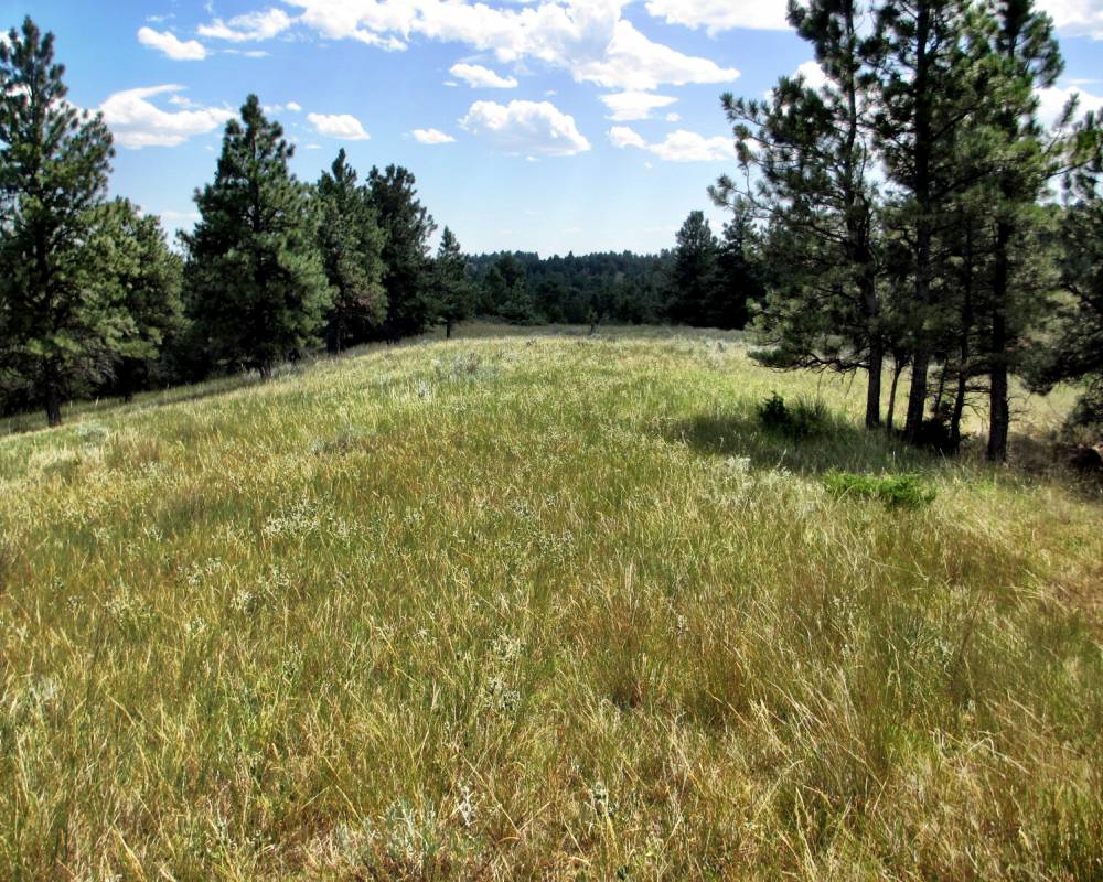 Fort Billings Road, Jordan, Montana 59270