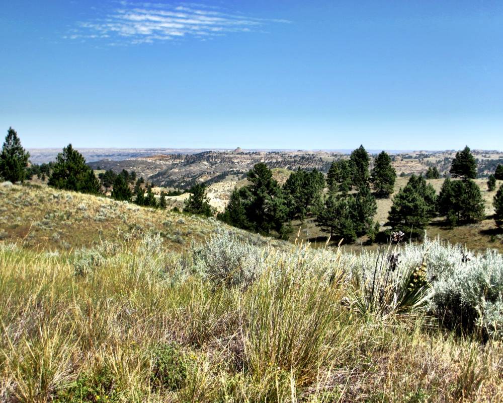 Fort Billings Road, Jordan, Montana 59270