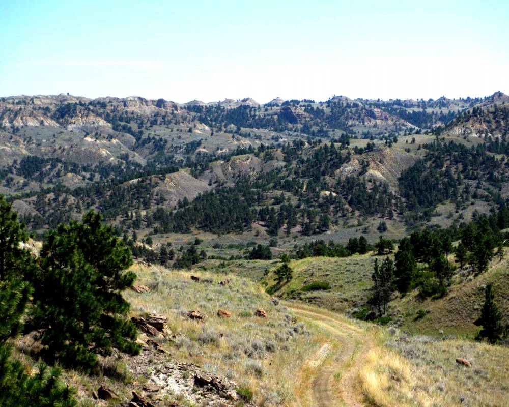 Fort Billings Road, Jordan, Montana 59270