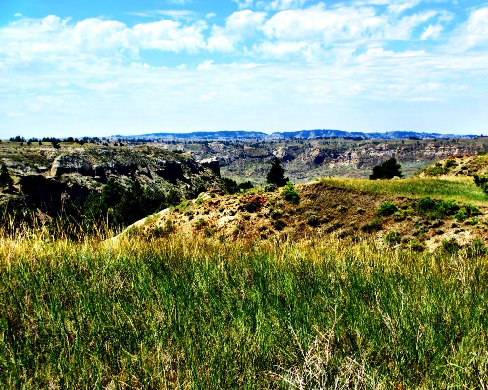 Fort Billings Road, Jordan, Montana 59270