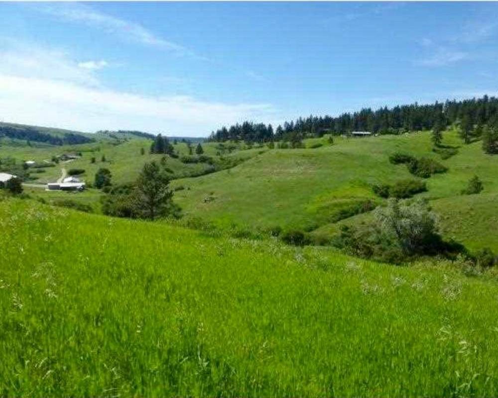 TBD Grove Lane, Lewistown, Montana 59457