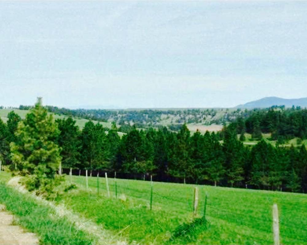 TBD Grove Lane, Lewistown, Montana 59457