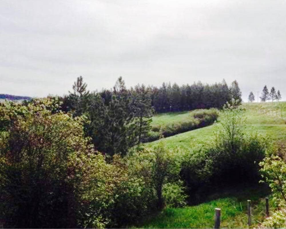 TBD Grove Lane, Lewistown, Montana 59457