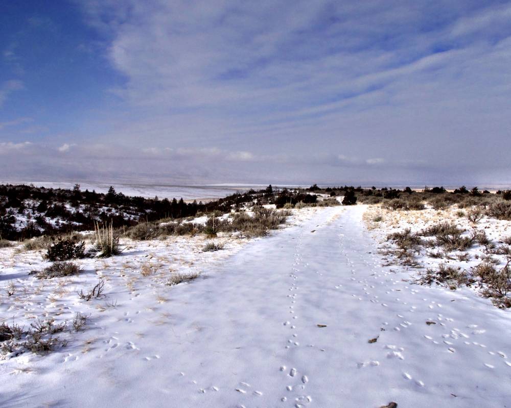TBD Hwy 17 E, Townsend, Montana 59644