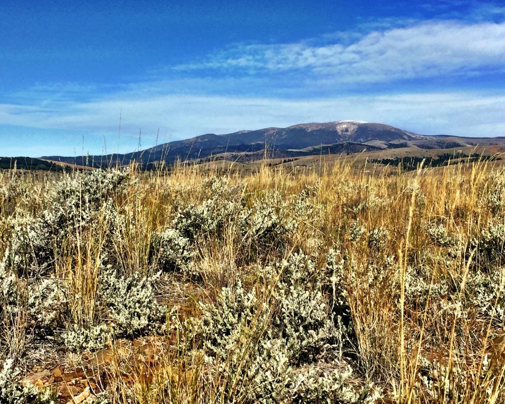 222 Mike Day Dr, White Sulphur Springs, Montana 59645