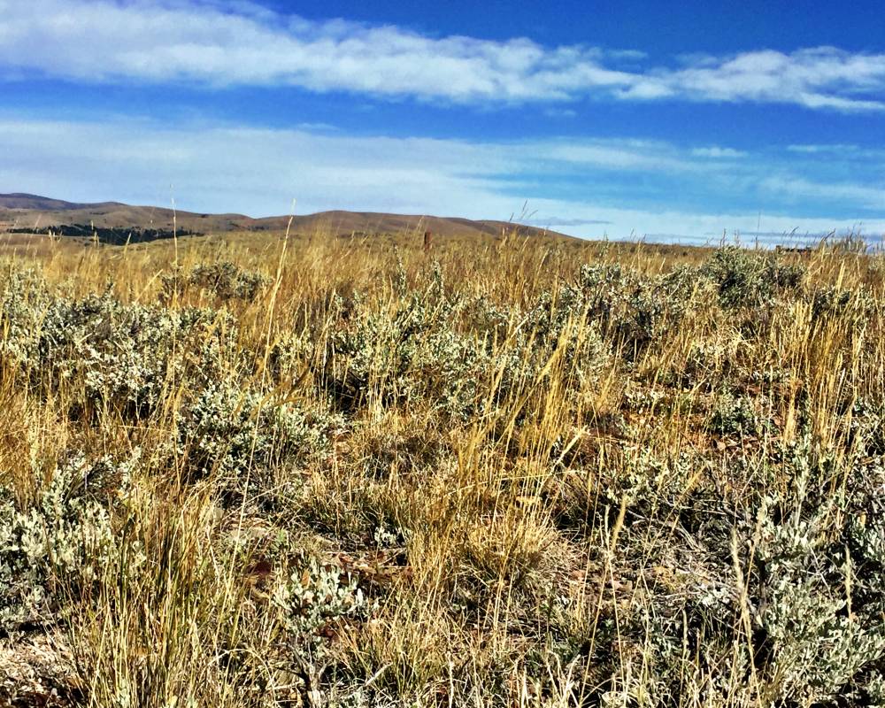 222 Mike Day Dr, White Sulphur Springs, Montana 59645