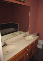1172 Wilson Ridge RLake Cormorant, MS, 38641De Soto County