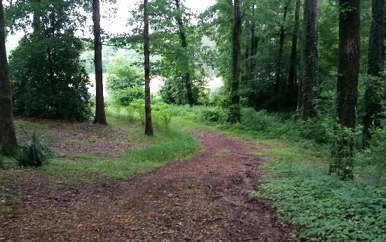 189 County Road 304Iuka, MS, 38852Tishomingo County