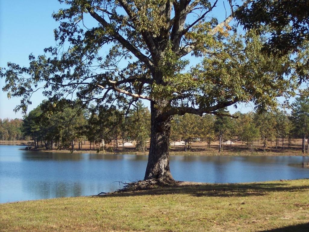 Lot 13 Lake Estates, Nettleton, MS 38858
