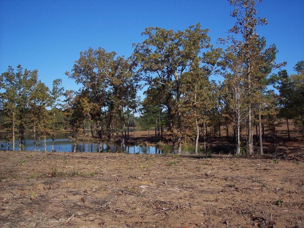 Lot 13 Lake Estates, Nettleton, MS 38858