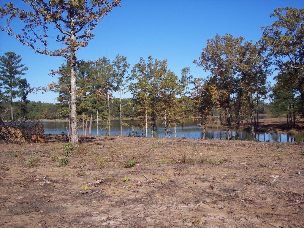 Lot 13 Lake Estates, Nettleton, MS 38858