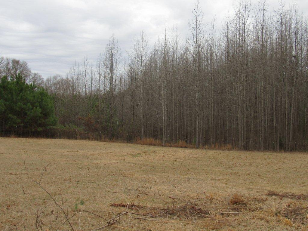 4845 Holcomb Sweethome Rd, Grenada, MS 38901