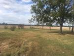 667 FORTY MILE BEND RD ,MS, Philipp, 38950