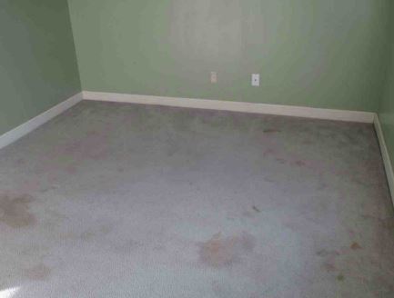 118 Trace RdgClinton, MS, 39056Hinds County
