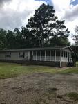 1991 HOYE PACE RD ,MS, Conehatta, 39057