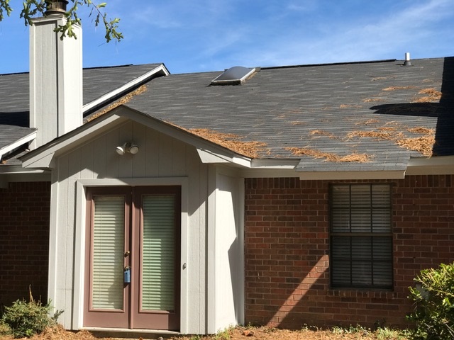 928 GARVIN ST, Jackson, MS 39206
