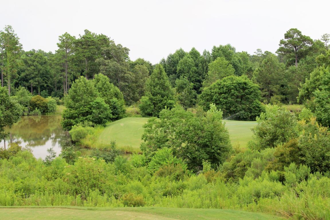 00 GLENEAGLES Dr., Hattiesburg, MS 39401