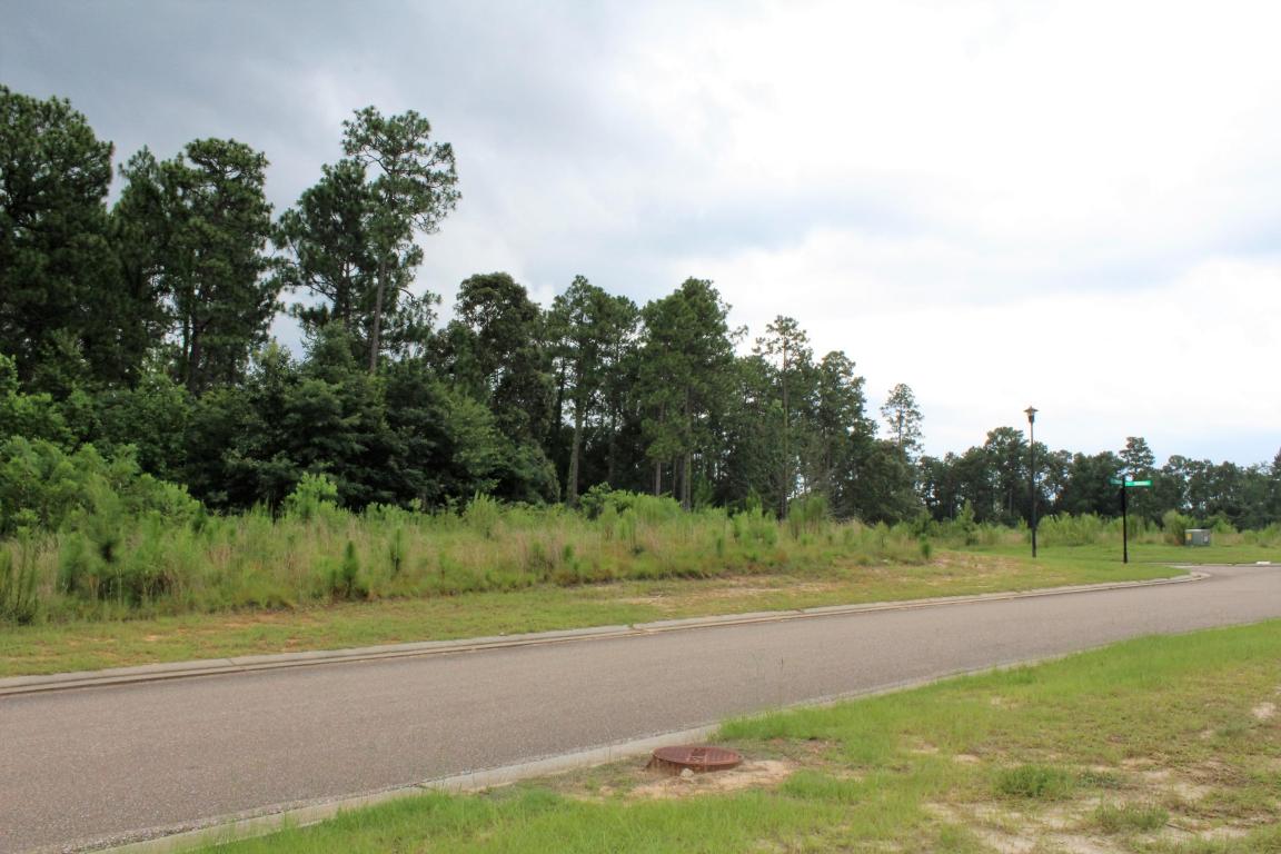 00 GLENEAGLES Dr., Hattiesburg, MS 39401