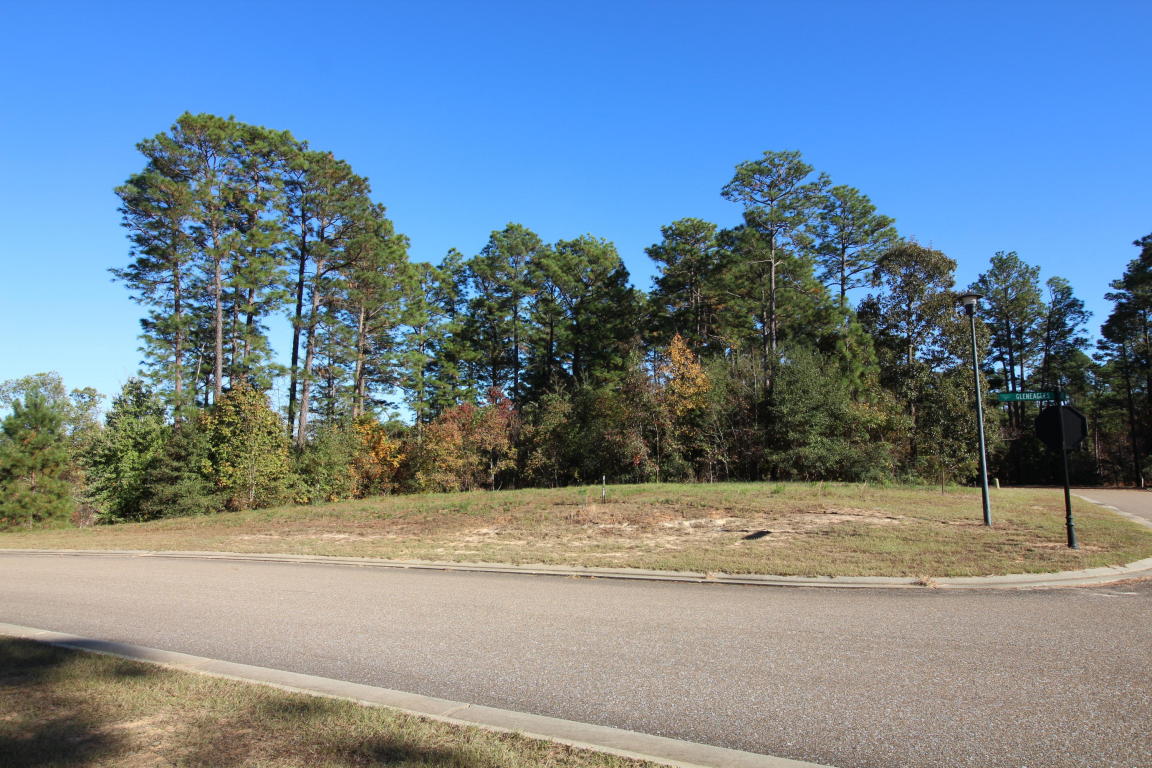 00 GLENEAGLES Dr., Hattiesburg, MS 39401