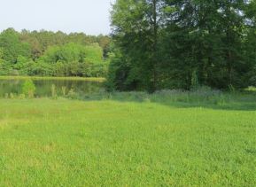 26 Sunshine LnCarriere, MS, 39426Pearl River County