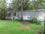 60 SHADY GROVE MOSS