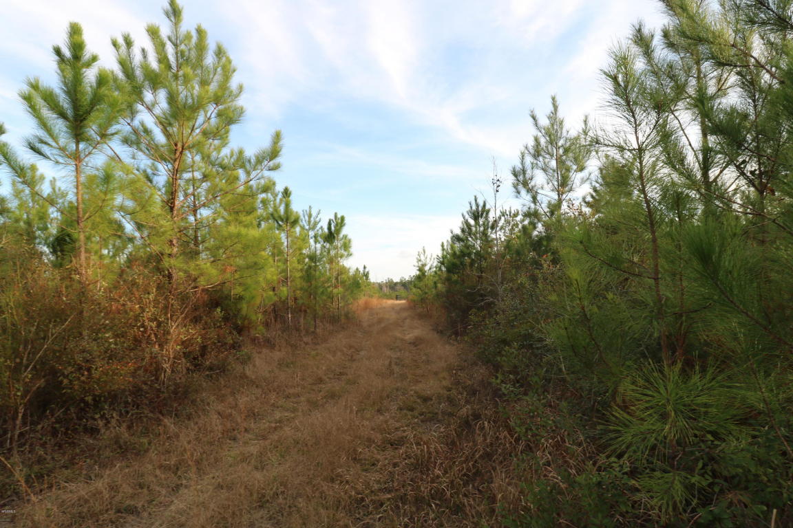 0 Alexander Rd, Lucedale, MS 39452