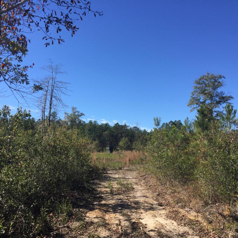 0 Alexander Rd, Lucedale, MS 39452