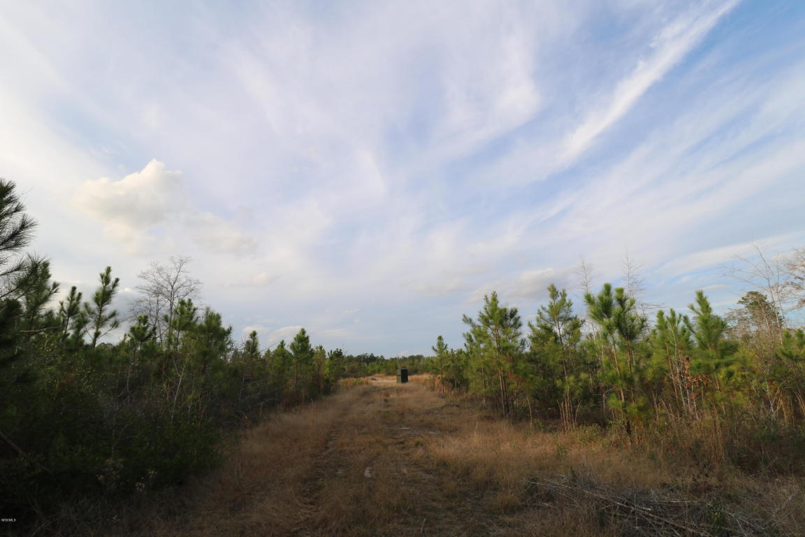 0 Alexander Rd, Lucedale, MS 39452