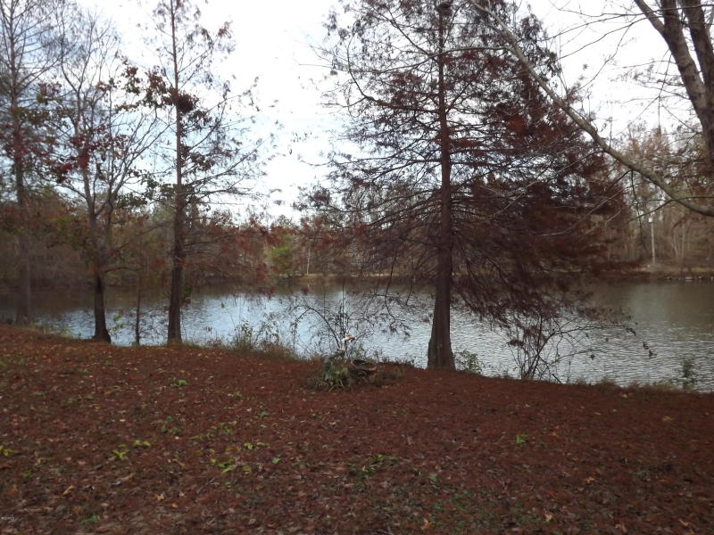 132 Mayhall Dr, Lucedale, MS 39452