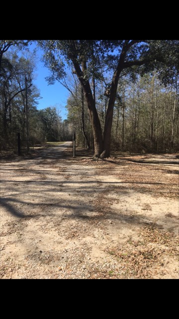 45 Baham Road, Picayune, MS 39466